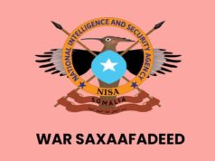 Intelijen Somalia Blokir Akses Kelompok Terkait Al-Shabaab