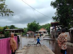 Update Banjir Buer dan Alas: Ratusan Jiwa dan Puluhan Hektare Lahan Pertanian Terdampak