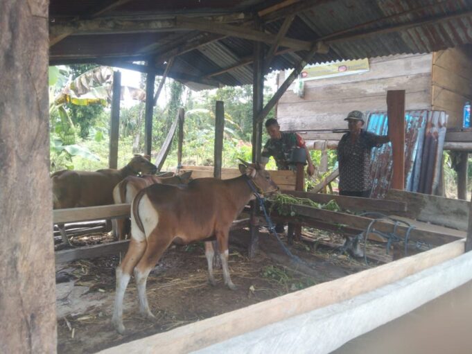 Babinsa Koramil 1710-03/Kuala Kencana Melaksanakan Komsos Dengan Petani Di Desa Binaan