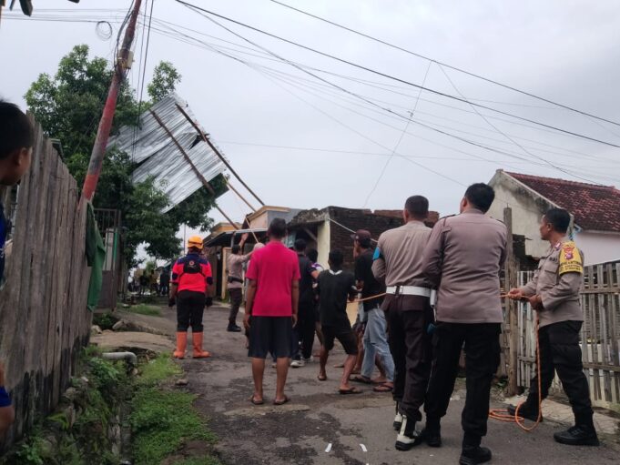 Ada Atap Terbang dan Mendarat di Atas Pohon?