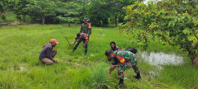 Babinsa Koramil 1710-02/Timika Bantu Warga Bersihkan Rumput Liar Yang Tumbuh Di Kebun Kelengkeng Dan Matoa