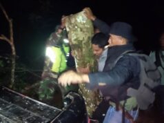Lawan Illegal Logging, TNI – Polri dan Tim BKPH Amankan Kayu Gelondongan di Desa Lenangguar