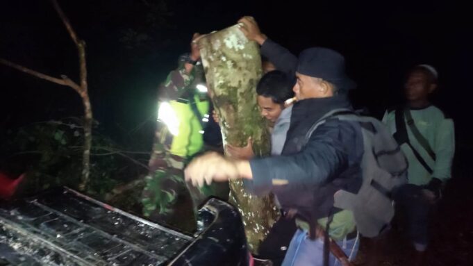 Lawan Illegal Logging, TNI – Polri dan Tim BKPH Amankan Kayu Gelondongan di Desa Lenangguar