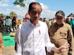 Over Supply Jagung, Presiden Jokowi: Industri Harus Mendekati Lahan Jagung