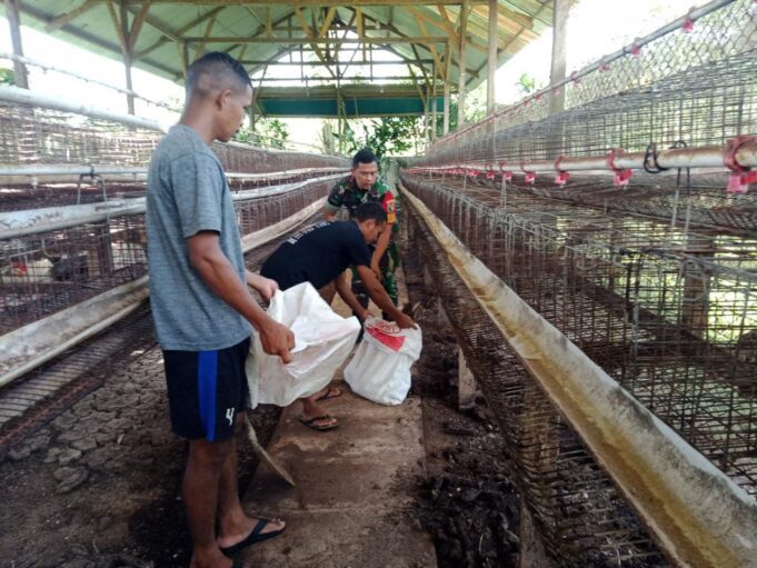 Upaya Membantu Meningkatkan Perekonomian Warga, Babinsa Koramil 1710-03/KK Komsos Sembari Beri Pelatihan Cara Beternak Ayam