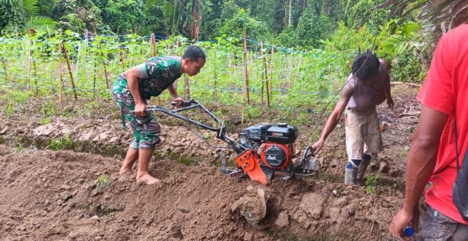Babinsa Koramil 1710-07/Mapurujaya Bersama Petani Melaksanakan Pembajakan Lahan