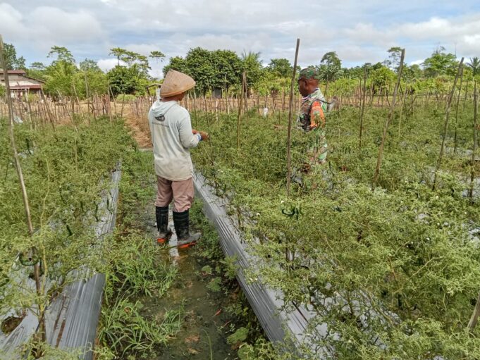 Wujudkan Ketahanan Pangan Wilayah, Koptu Kumiyu Terus Memberi Motivasi Para Petani Binaan Dalam Setiap Kegiatan Komsosnya