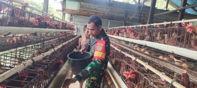 Sembari Komsos, Babinsa Koramil 1710-02/Timika Motivasi Peternak Ayam Di Wilayah Binaan