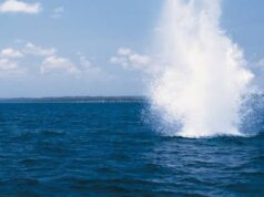 Masih Identifikasi Illegal Fishing di Teluk Saleh, Dibangun Pos Pengawasan PSDKP