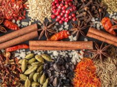 Strategi Industri Rempah dan Herbal Nasional