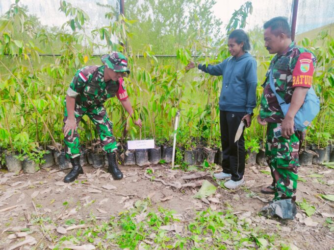 Peduli Lingkungan, Babinsa Koramil Timika Bersama Dinas Pertanian Mimika Siapkan Pohon Untuk Program Penghijauan