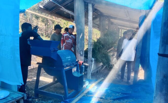 Atasi Kelangkaan Pakan Di Musim Kemarau, Pemdes Poto dan UTS Produksi Pakan Silase