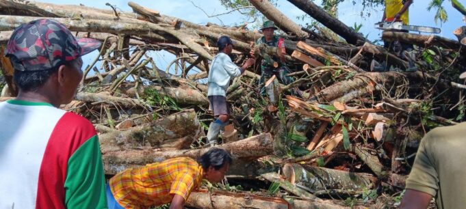 Babinsa Koramil Mapurujaya dan Warga Gotong Royong Bersihkan Pohon Tumbang