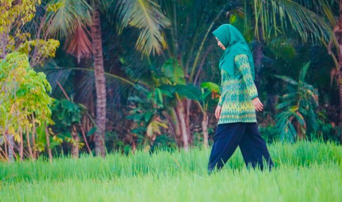 Konversi Lahan Pertanian Sebuah Keniscayaan, Gagasan Rohmi Firin untuk Ketahanan Pangan NTB