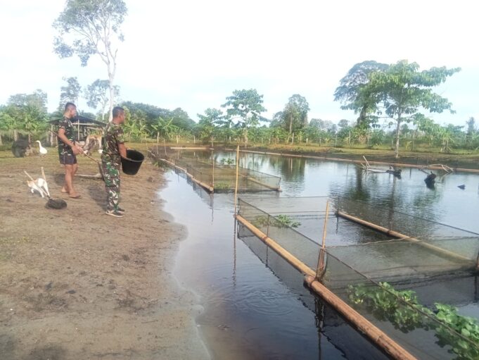 Wujudkan Ketahanan Pangan, Korem 012/TU Budidaya Benih Ikan Nila