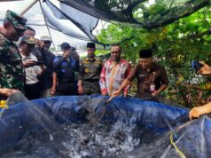 Ajak Masyarakat Ikut Lakukan Budidaya, Kades Pasir Putih Panen Perdana Ikan Lele