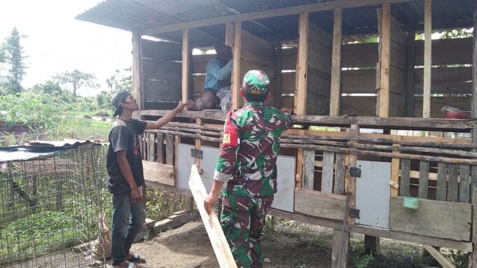 Ringankan Beban Pekerjaan Warga Binaan, Babinsa Koramil Mapurujaya Membantu Pembuatan Kandang Ayam