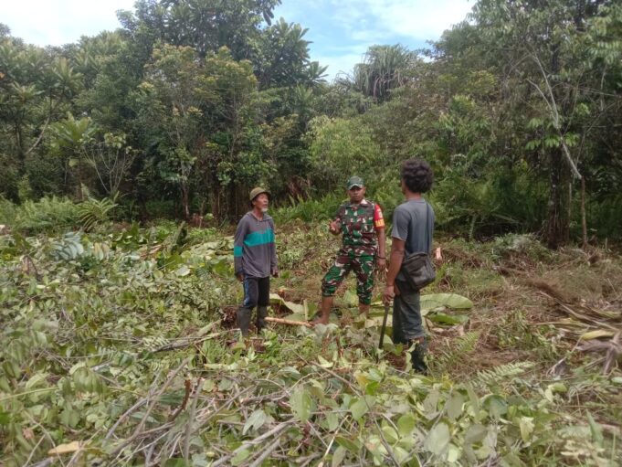 Sukseskan Program Ketahanan Pangan Wilayah, Babinsa Koramil Kuala Kencana Bantu Warga Buka Lahan Pertanian Baru