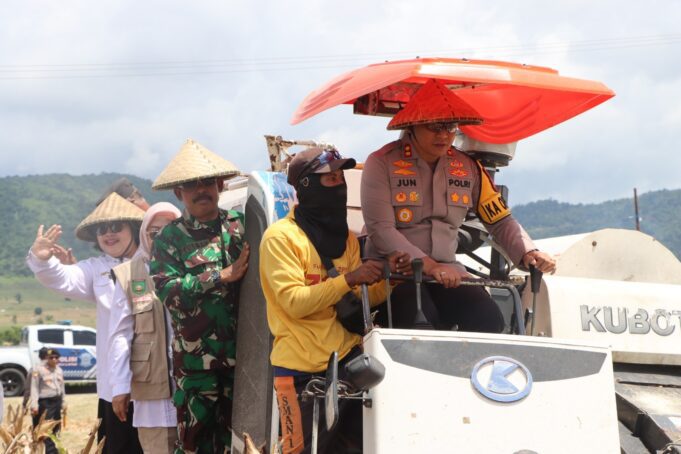 Dukung Ketahanan Pangan Nasional, Polres Sumbawa Panen Raya Jagung Tahap I
