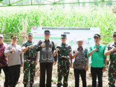 Bupati Dampingi Pangdam IX/Udayana Tinjau Lokasi Rencana Pembangunan YON TP