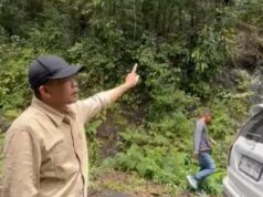 Marak Illegal Logging, Ketua Fraksi Gerindra Geram