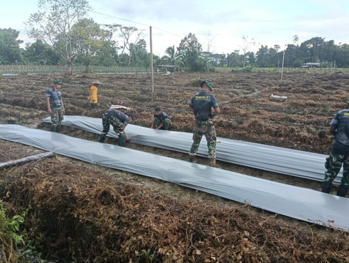 Satgas TMMD 124 Kodim 1710/Mimika Bersama Poktan Noken Naena Terus Kejar Target Penanaman Di Lokasi Pembukaan Lahan Tidur
