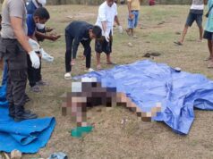 Seorang Peternak Ditemukan Meninggal di Lokasi Penggembalaan