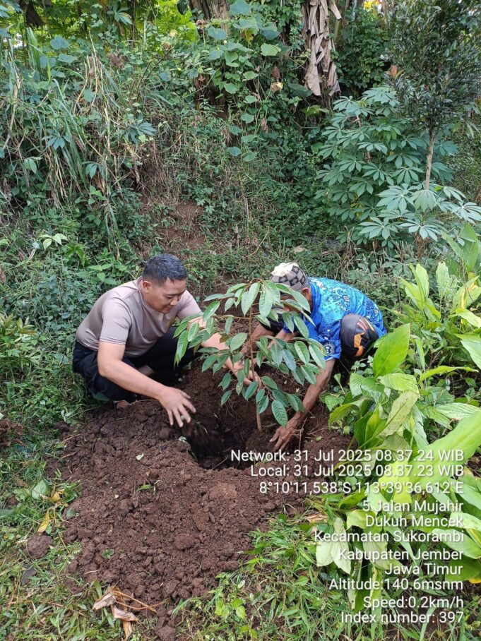 Kapolsek Sukorambi AkP. Sudarsono,SH Optimalkan Lahan Kosong Jadi Lahan Produktif