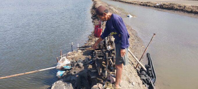 Penemuan Mayat di Tambak Udang, Diduga Terlilit Mesin Kincir