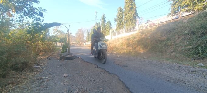 Berita Foto: Masyarakat Pungkit Tanam Pisang di Jalan