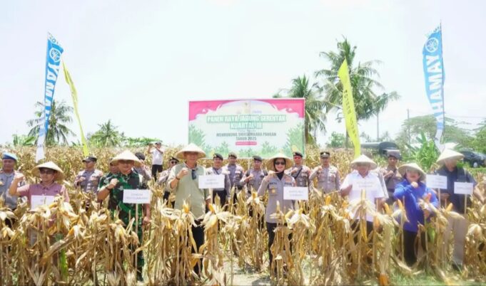 Bupati Optimis Target Swasembada Pangan Tercapai