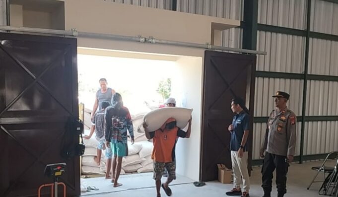 Dukung Ketahanan Pangan, Bulog Sumbawa Serap 10 Ton Jagung Petani Lape dan Lopok