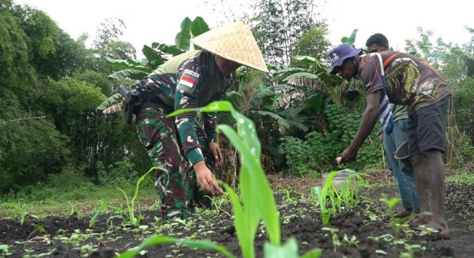 Panen Kebersamaan di Perbatasan: Satgas Kala Hitam dan Warga Giatkan Ketahanan Pangan