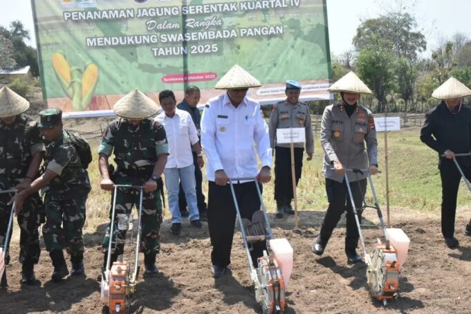 Tanam Jagung Serentak Kwartal IV, Bupati: Dukung Penuh Penambahan Gudang Ketahanan Pangan Polri di Sumbawa