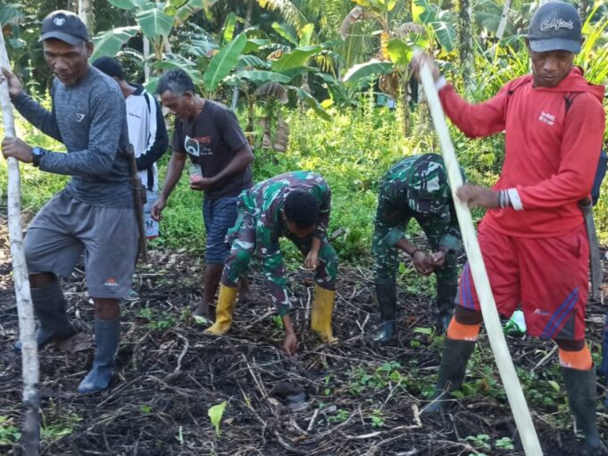 Satgas TMMD ke-126 Kodim 1505/Tidore Bersama Masyarakat Tanam Jagung di Lahan Ketahanan Pangan