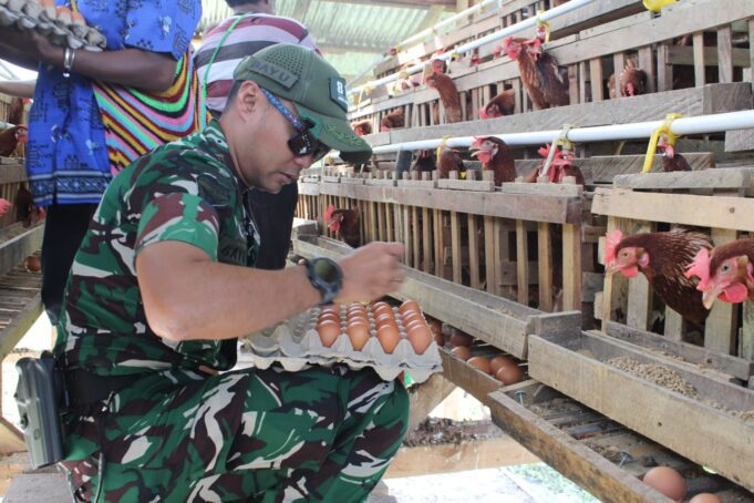 Panen Telur Ayam Perdana, Yonif TP 814/JZA membagikan Telur Gratis Kepada Warga Distrik Yapsi Kab. Jayapura