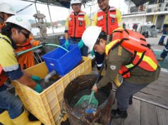 Akademisi Nilai Studi Rekolonisasi di Area Operasional AMMAN Tunjukkan Tren Positif bagi Ekosistem Laut