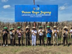 Lapas Sumbawa Besar Panen Raya Jagung Bersama Warga Binaan