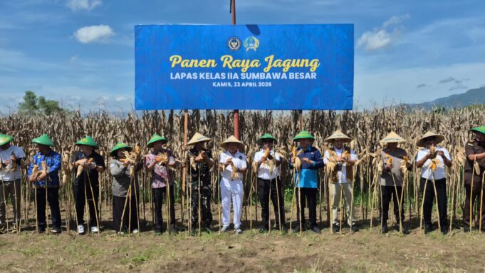 Lapas Sumbawa Besar Panen Raya Jagung Bersama Warga Binaan