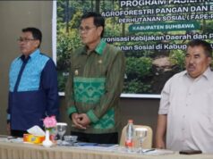 Pemkab Sumbawa Siapkan Skema Agroforestri Pengganti Jagung