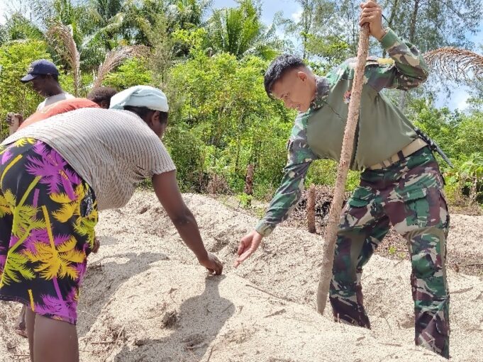 Manfaatkan Lahan Tidur, Satgas TMMD Ke-128 Kodim 1710/Mimika Tanam Jagung Bersama Warga
