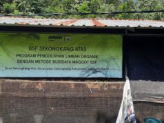 Investigasi: Program Pengolahan Limbah Organik PT AMNT Diduga Mangkrak, SDM Lokal Dinilai Tak Dilibatkan Maksimal