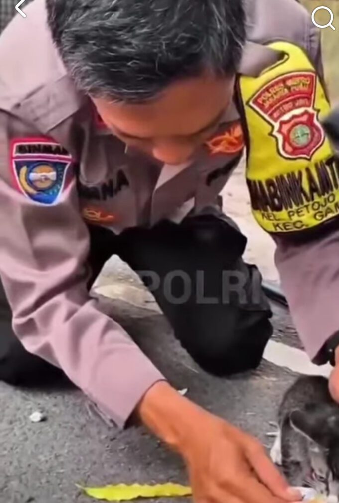 Polisi Humanis, Aiptu Irvan Ahmad Tunjukkan Kepedulian terhadap Hewan Lewat Aksi Berbagi di Hari Jumat