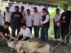 Perindo Sumut Sembelih Puluhan Hewan Kurban di 33 Wilayah