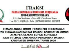 Fraksi PDI-P Tekankan 5 Ranperda Harus Menjawab Kebutuhan Riil Masyarakat