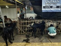 **Limbah Kurban, Tantangan Lingkungan yang Bisa Jadi Sumber Daya**
