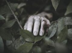 Tragis, Fotografer Keraton Yogyakarta Tewas dalam Kecelakaan Glamping di Temanggung