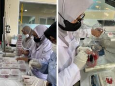 Cegah Pangan Palsu, BRIN Luncurkan Teknologi Deteksi Canggih