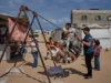 265 Anak Palestina Tewas di Tengah Gencatan Senjata