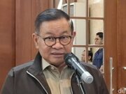 4 Hari Bersihkan ‘Pulau Sampah’ di Muara Angke